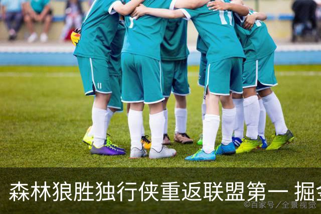 森林狼胜独行侠重返联盟第一 掘金胜篮网3连胜